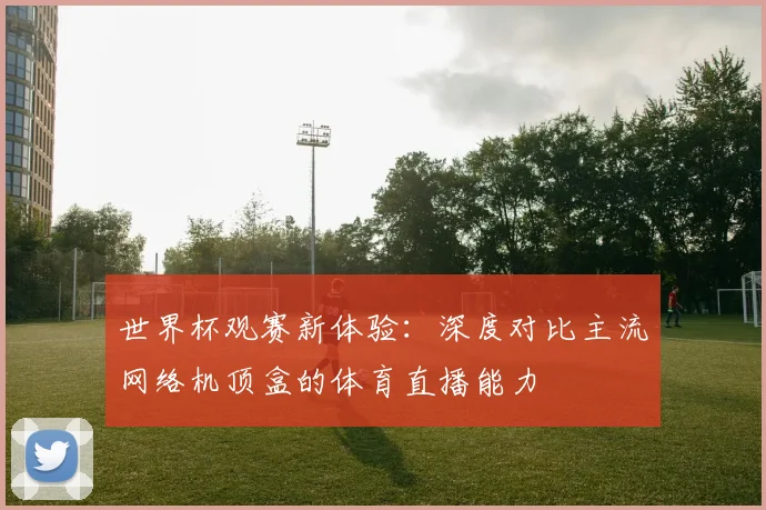世界杯观赛新体验：深度对比主流网络机顶盒的体育直播能力