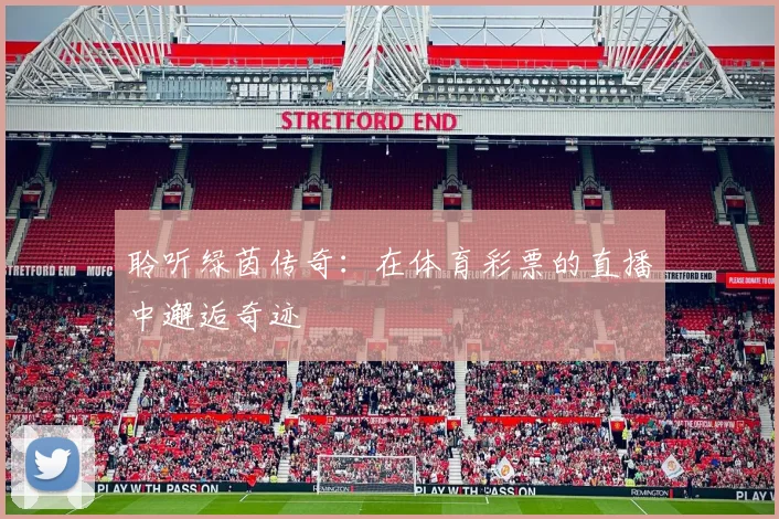 聆听绿茵传奇：在体育彩票的直播中邂逅奇迹