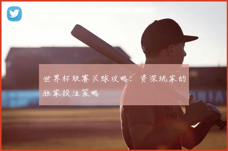 世界杯联赛买球攻略：资深玩家的独家投注策略