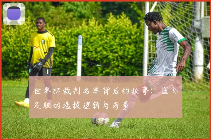 世界杯裁判名单背后的故事：国际足联的选拔逻辑与考量