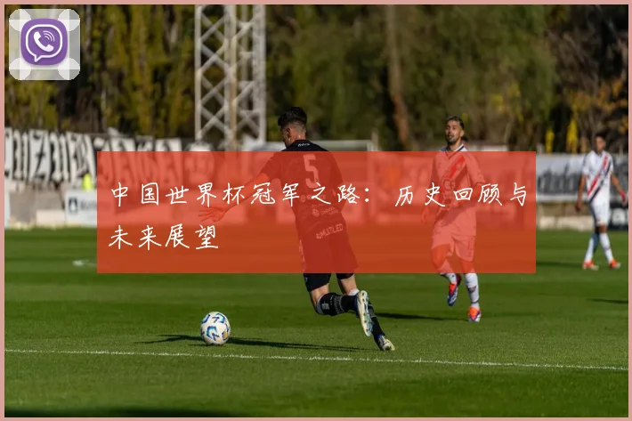 中国世界杯冠军之路:历史回顾与未来展望