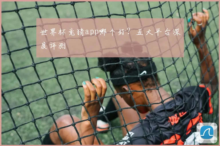 世界杯竞猜app哪个好?五大平台深度评测
