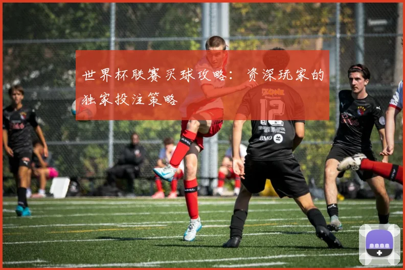 世界杯联赛买球攻略：资深玩家的独家投注策略