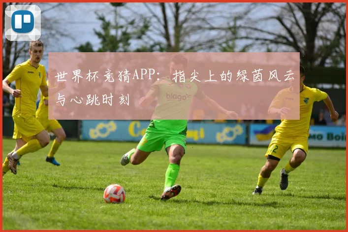 世界杯竞猜APP:指尖上的绿茵风云与心跳时刻
