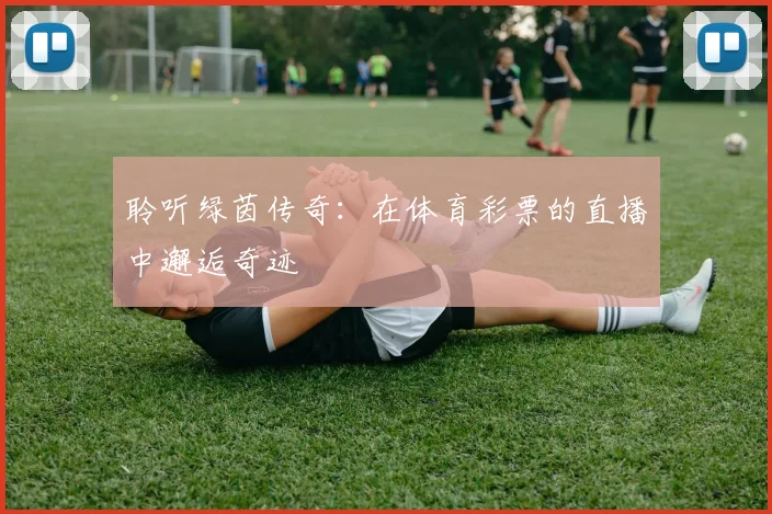 聆听绿茵传奇：在体育彩票的直播中邂逅奇迹
