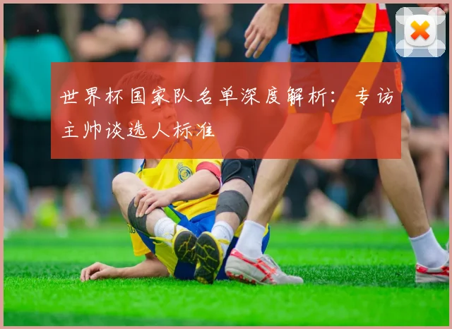 世界杯国家队名单深度解析:专访主帅谈选人标准