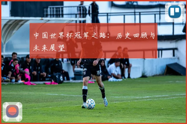 中国世界杯冠军之路：历史回顾与未来展望